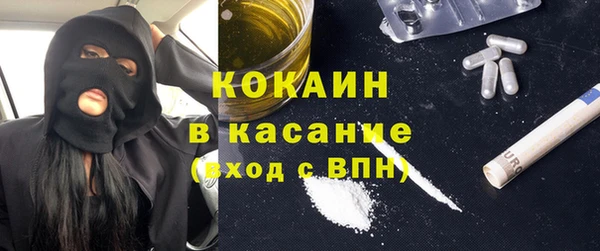 дживик Алексин